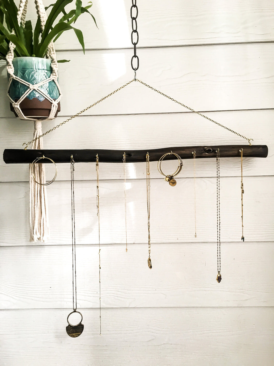 Eucalyptus Jewelry organizer